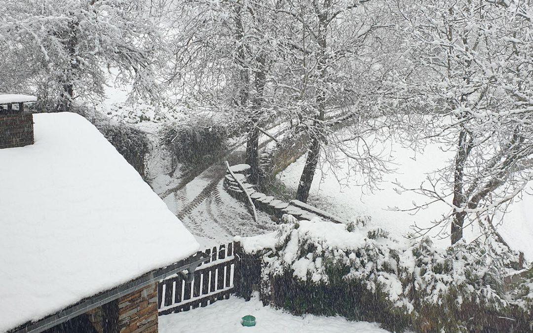 OS MENORES DA CASA DE FAMILIA DISFRUTAN DO NADAL E DA NEVE NO CAUREL