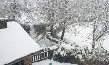 OS MENORES DA CASA DE FAMILIA DISFRUTAN DO NADAL E DA NEVE NO CAUREL