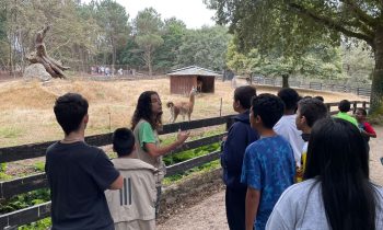 UN DÍA DE EXCURSIÓN EN EL ZOOLÓGICO DE MARCELLE